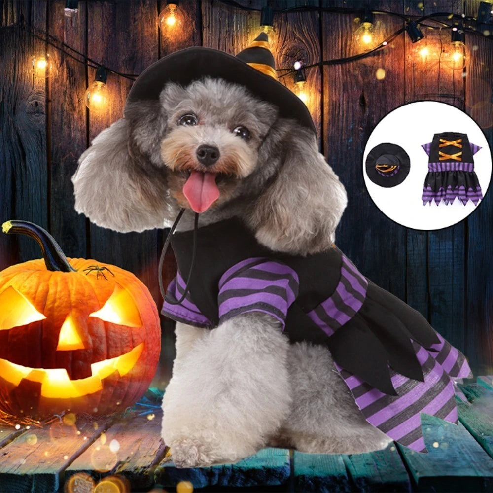 Christmas Dress Up Pet Clothes Wizard Funny Small Medium Dogs Universal Pet Clothes Suitable for Autumn and Winter Dog Clothes