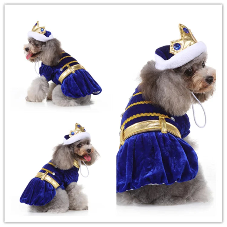 Christmas Dress Up Pet Clothes Wizard Funny Small Medium Dogs Universal Pet Clothes Suitable for Autumn and Winter Dog Clothes