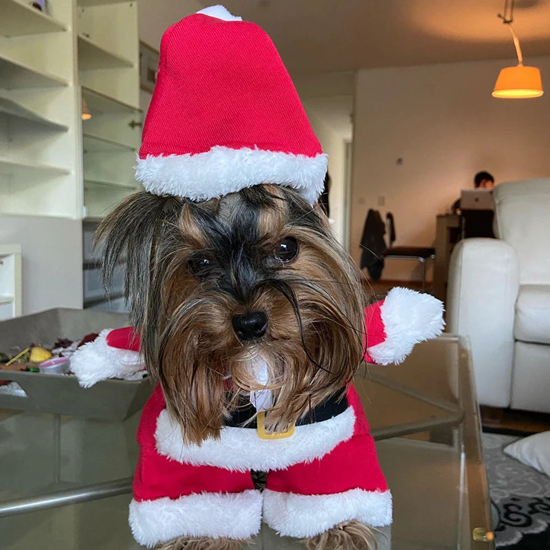 Christmas Dog Clothes Funny Pet Cosplay Santa Claus Outfits For Small Dogs Cats New Year Party Yorkshire Chihuahua Pug Costumes