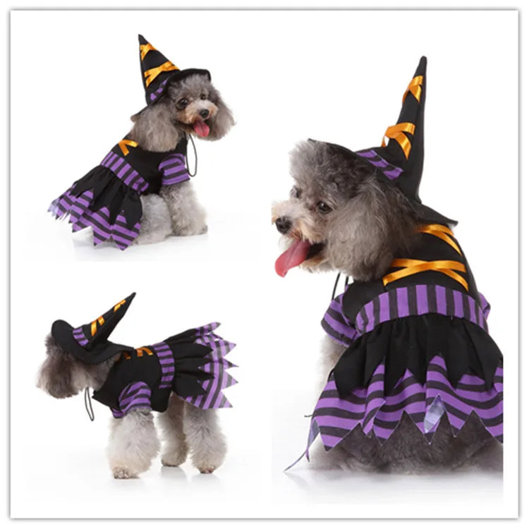 Christmas Dress Up Pet Clothes Wizard Funny Small Medium Dogs Universal Pet Clothes Suitable for Autumn and Winter Dog Clothes