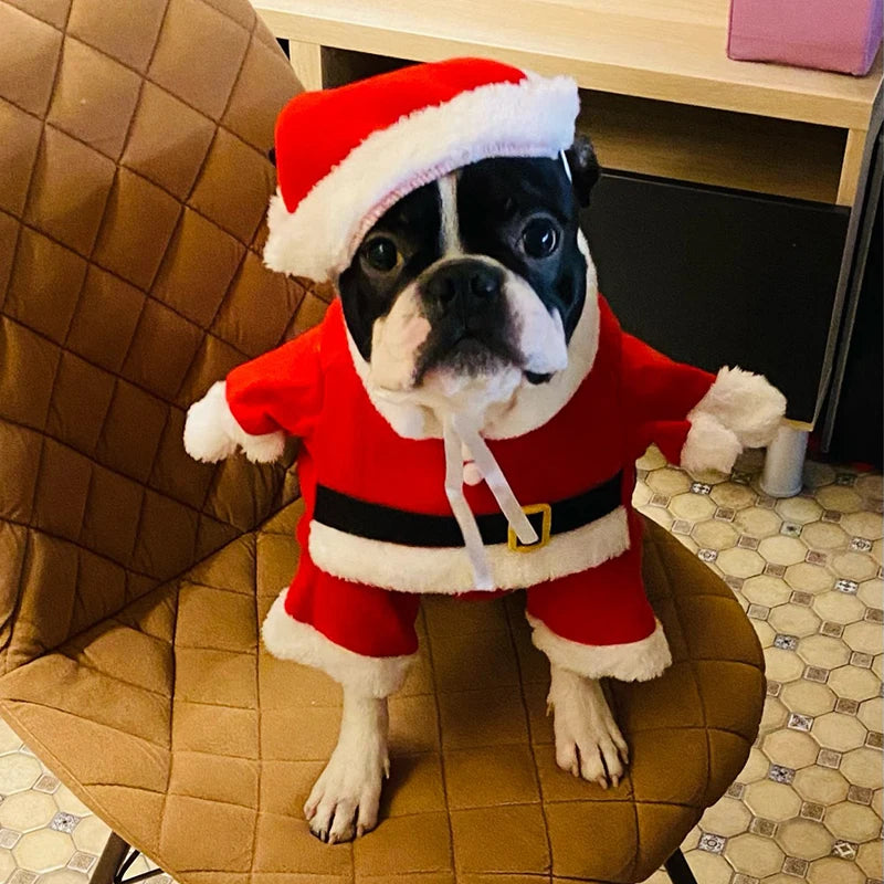 Christmas Dog Clothes Funny Pet Cosplay Santa Claus Outfits For Small Dogs Cats New Year Party Yorkshire Chihuahua Pug Costumes