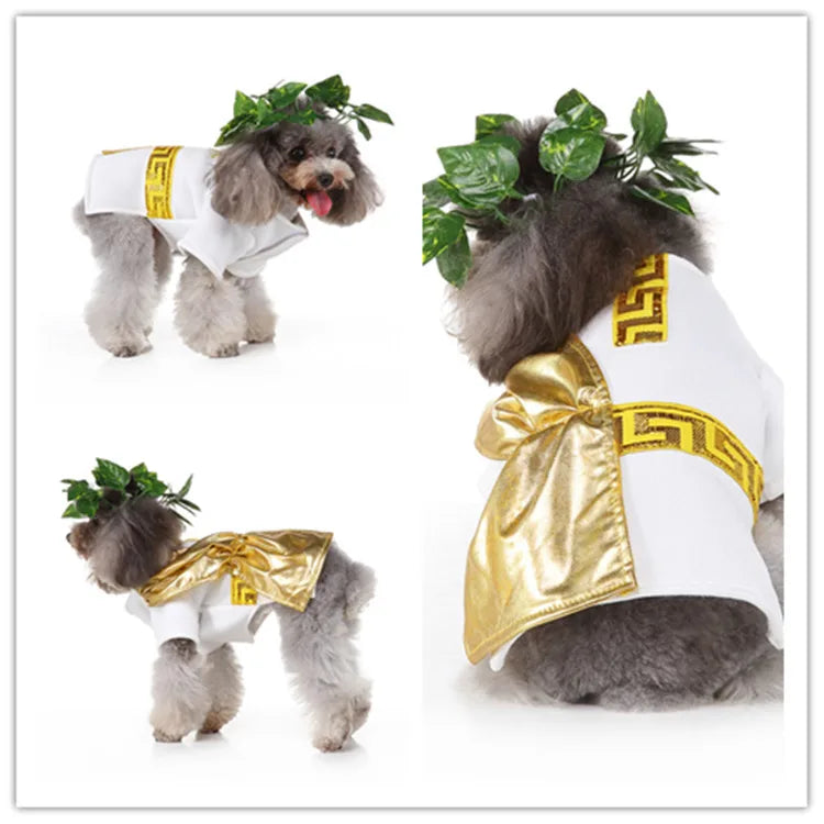 Christmas Dress Up Pet Clothes Wizard Funny Small Medium Dogs Universal Pet Clothes Suitable for Autumn and Winter Dog Clothes