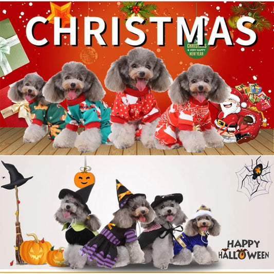 Christmas Dress Up Pet Clothes Wizard Funny Small Medium Dogs Universal Pet Clothes Suitable for Autumn and Winter Dog Clothes